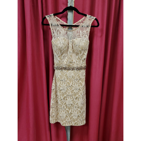 Pink Rose Lace Dress w/ Sparkle Waist – Open Back – Size 5 Juniors - Picture 3 of 6